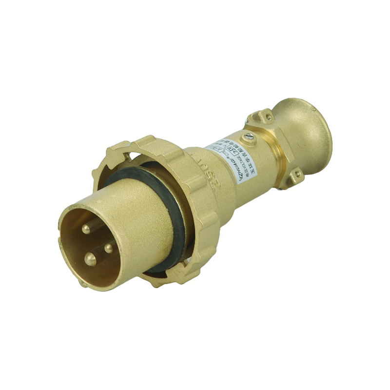 دوشاخه برنجی Warine 32a، سوکت، سوکت با سوئیچ CTS2-2-14